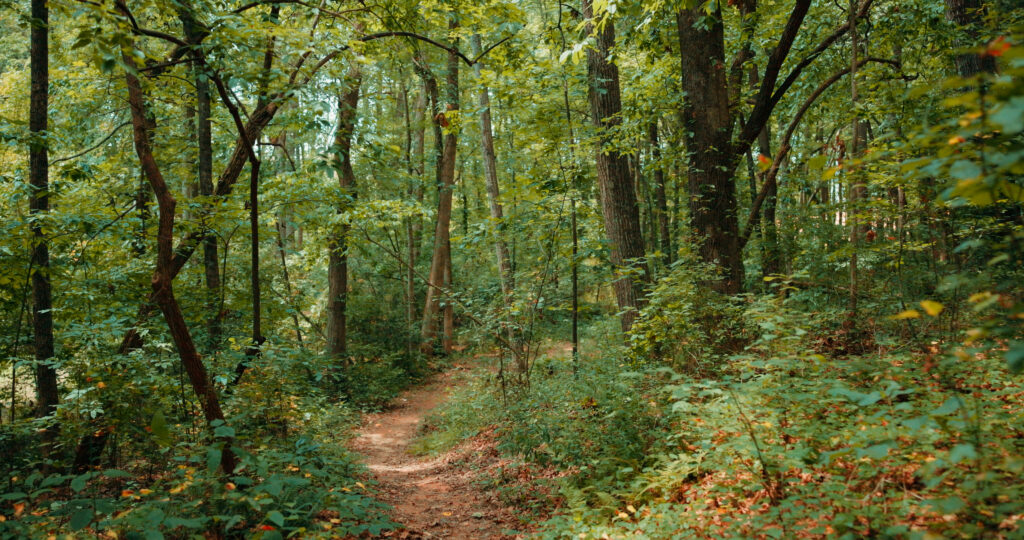 HopeQuest nature trail through the woods