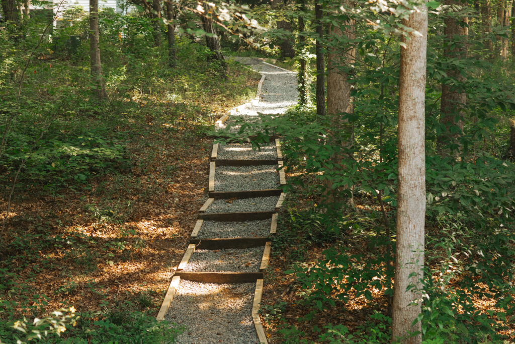 Stairs through the woods on a rocky path