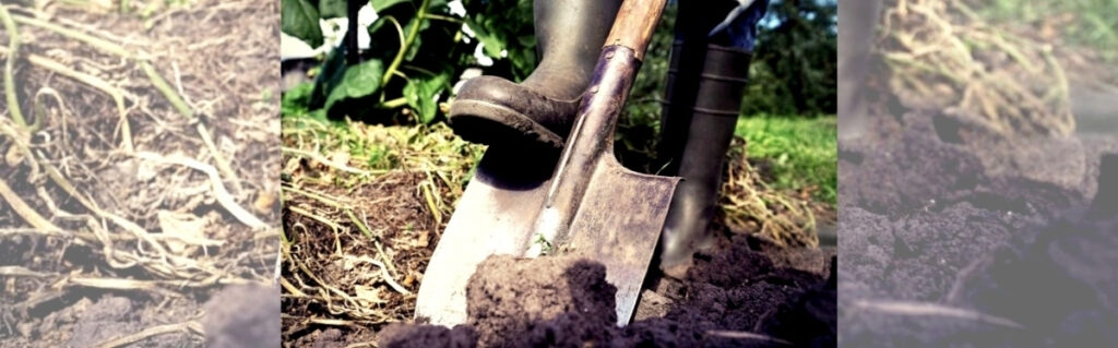 Shovel digging into the earth, revealing roots; metaphor for "Beneath the Surface" of addiction.
